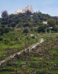 Hippo Regius II